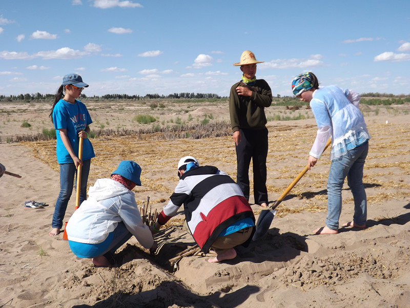 �@�N1.5��Ҋ�������ݸ��ӣ���ɳЧ����������^4��5���͕�(hu��)�L(f��ng)�g��������Ҫ�����a(b��)����