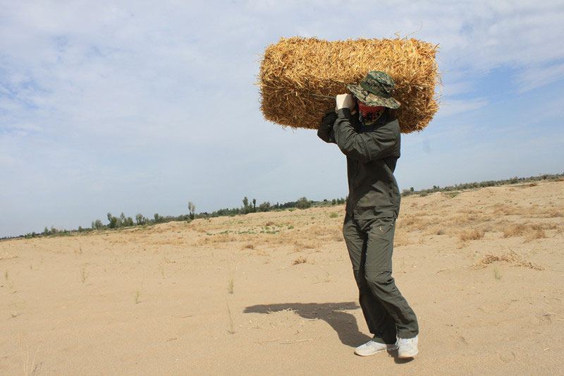 �F(tu��n)�T���i�������ݣ����ϳ����������������؟(z��)����