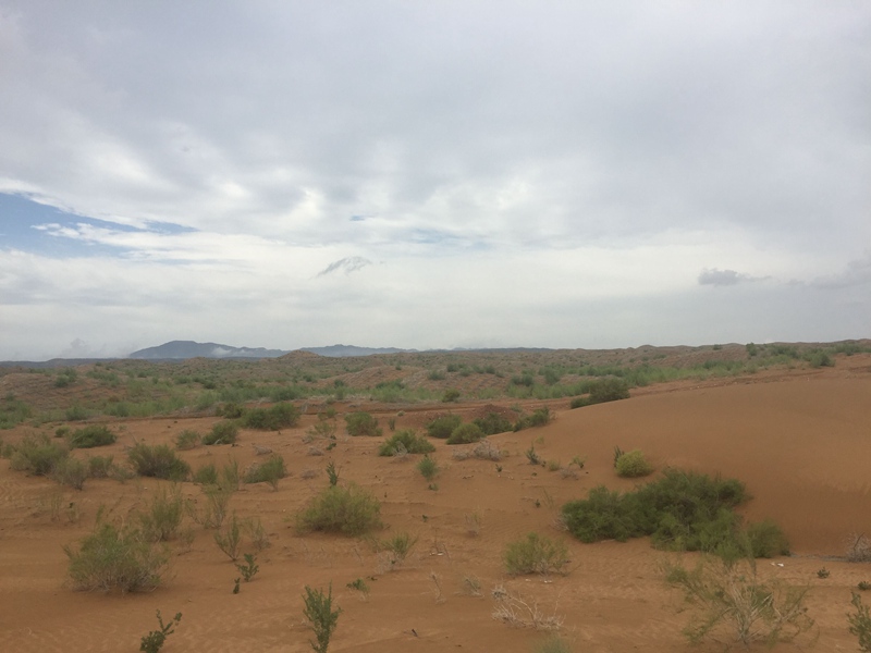 �v����ɳĮ�޾W(w��ng)������ݷ����ﲼ�M�[�d��ɳ��ֲ����