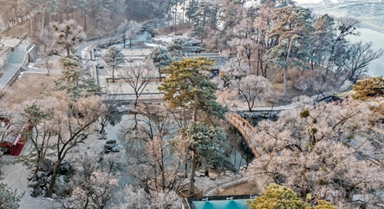 河北承德:避暑山莊現(xiàn)霧凇景觀(guān)