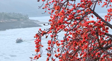 攀枝花長啥樣？到攀枝花去看看